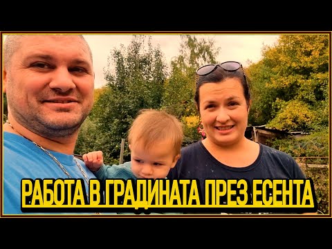 Видео: Есен ли? Не, направо зима! ❄️ Косене, градински изненади и подготовка за пролетта 🌱👶