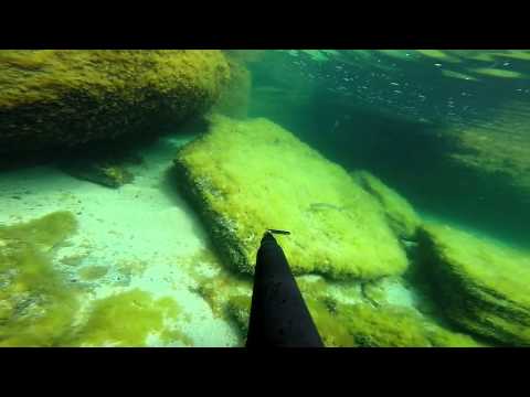 Видео: Темир баба