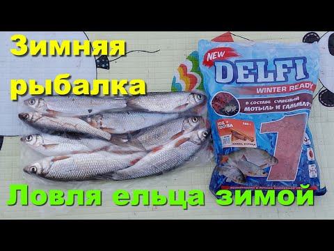Видео: Зимняя рыбалка. Ловля ельца зимой