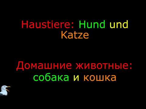 Видео: Секрет немецких артиклей: Hund 🐶 или Katze 🐱?
