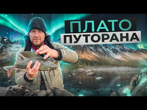 Видео: Плато Путорана | Русский феномен l Ловим хариуса, живём в таёжной избе, готовим на берегу озера Лама