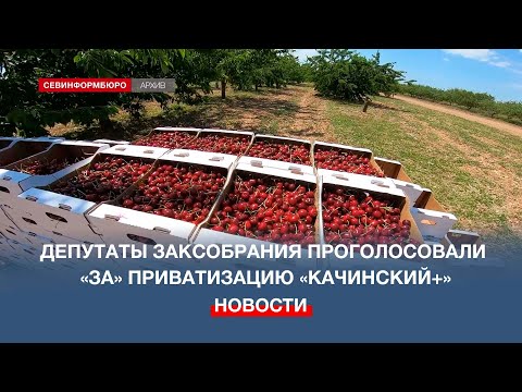 Видео: Севастопольские депутаты одобрили приватизацию сельхозпредприятия «Качинский+»