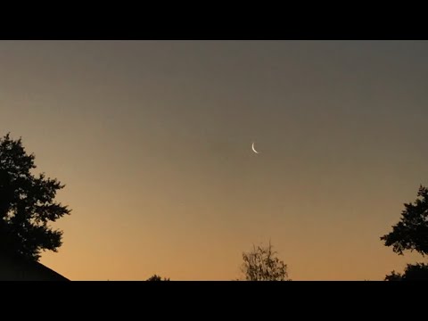 Видео: Свадьба Замира