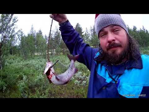 Видео: Рова, Йоканьга. 2017 год. Фильм 1.