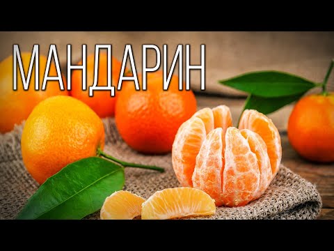 Видео: Мандарин: Южный символ Нового года | Интересные факты про мандарины