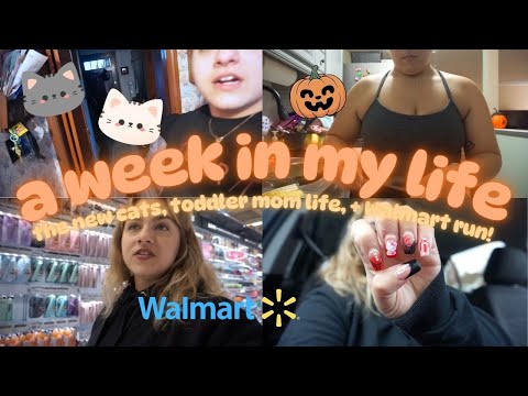 Видео: неделя из моей жизни // новые кошки, жизнь мамы малыша, + забег в Walmart!