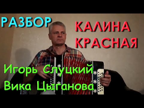 Видео: Калина красная. Разбор на гармони. Николай Гарбузов