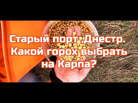 Видео: Старый порт .р.Днестр .Какой горох выбрать на КАРПА.