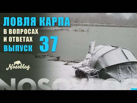 Видео: Карпфишинг в вопросах и ответах, выпуск 37, Колесников А.