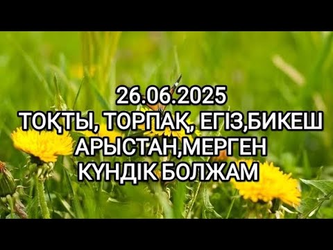 Видео: Күндік таро болжам