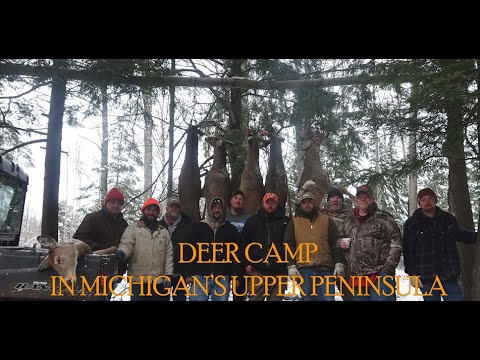 Видео: Охота на оленей на Верхнем полуострове Мичигана: Олений лагерь 2022