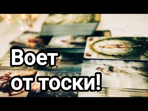 Видео: Что удалось только Вам?💯💌🌞❤️❤️Вы в его жизни 💯💌🌞❤️❤️