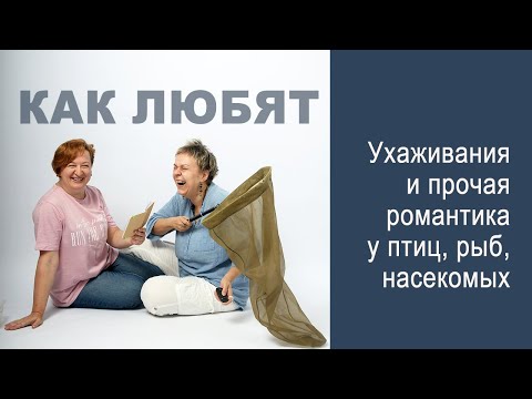 Видео: О любви в мире животных. Клуб взрослого натуралиста