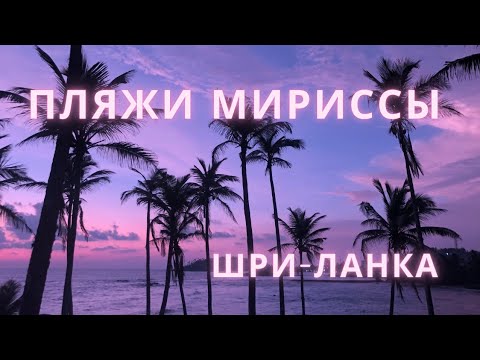 Видео: Обзор пляжей в Мириссе. Шри-Ланка