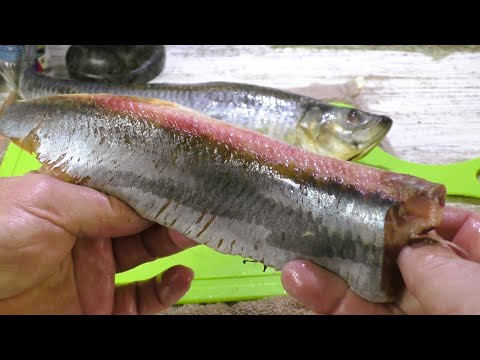 Видео: Малосольная селёдка пятиминутка, это простая и очень вкусная закуска из сельди
