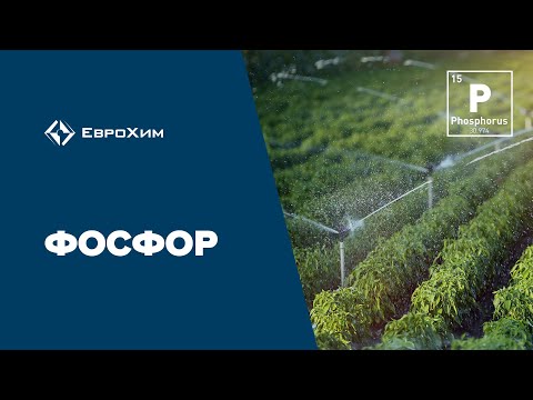 Видео: Фосфор. Для чего он нужен и как его вносить