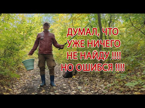 Видео: Грибалка раньше времени :)
