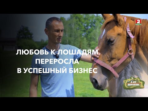 Видео: Конная ферма, зоопарк и летний лагерь за 10 лет жизни в деревне. Я из деревни. Деревня Малаховцы.