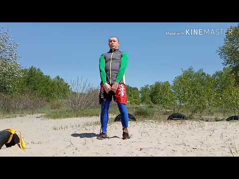 Видео: Тренуванняпідчаскарантину15 (ЗФП з гумовими петлями частина1)