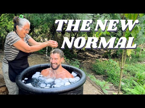 Видео: День из жизни: строительство хостела с нуля