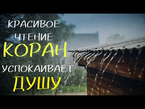 Видео: СЛУШАЙТЕ КРАСИВОЕ ЧТЕНИЕ КОРАН! УСПОКАИВАЕТ ДУШУ!