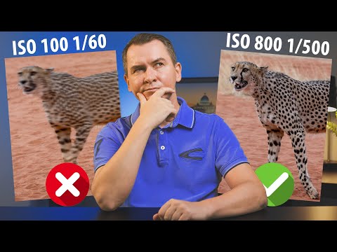 Видео: 8 ОШИБОК НАЧИНАЮЩИХ ФОТОГРАФОВ, КОТОРЫХ ЛУЧШЕ ИЗБЕГАТЬ. Уроки фотографии