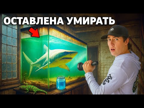 Видео: Я нашел заброшенный гараж, полный живой рыбы
