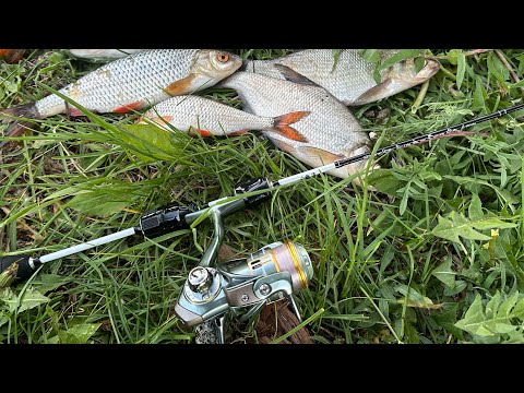 Видео: ЭТА СНАСТЬ СДЕЛАЕТ ВАМ РЫБАЛКУ🔥