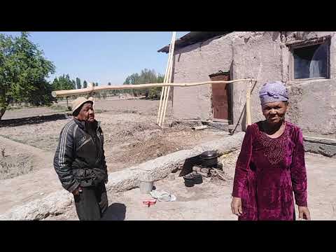 Видео: Ходжейли. Гужим чайхана. ДИАР РЕСТОРАНЫ ЖАМИЕТИНЕ РАХМЕТ