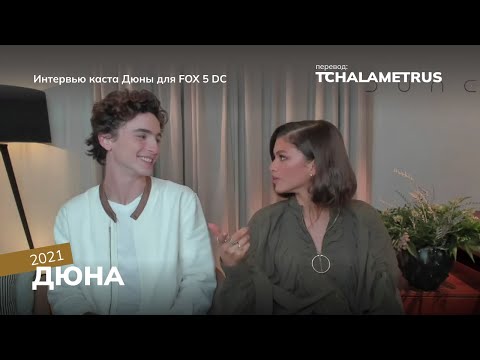 Видео: Интервью Тимоти Шаламе и Зендаи времен промо Дюны для FOX 5 DC