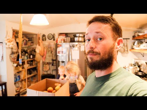 Видео: Плод наших трудов