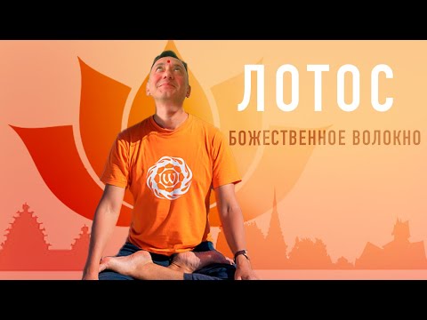 Видео: ЛОТОС, САМОЕ ЭКОЛОГИЧНОЕ И БОЖЕСТВЕННОЕ ВОЛОКНО ДЛЯ БУДДИЙСКИХ МОНАХОВ