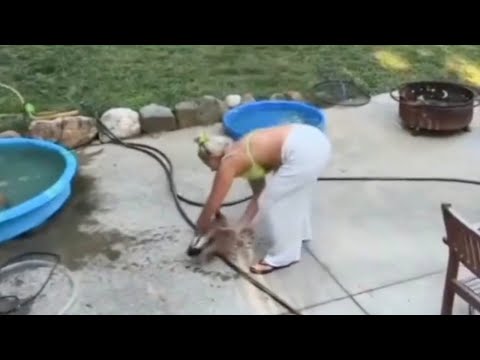 Видео: Лучшие невероятные моменты этого года, запечатлённые на камеру