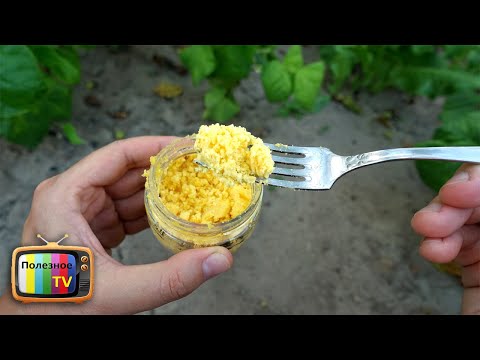 Видео: МУРАВЬИ?! У ВАС ИХ БОЛЬШЕ НЕ БУДЕТ МОЩНОЕ НАРОДНОЕ СРЕДСТВО