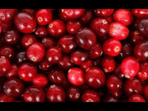 Видео: Варенье из клюквы. Маринкины творинки. Всем МИРА и Добра!