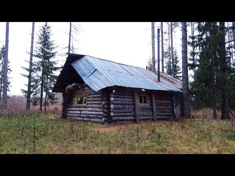 Видео: В тайгу поздней осенью Ч1. Лесная изба. Таёжный быт, кухня. Охотничье зимовье. Один в глухой тайге