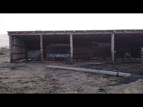 Видео: Ауыл тынысы.Бордақы қора (тағыда)