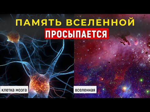 Видео: Когда Сознание Устаёт Быть Человеком: Портал К Памяти Вселенной