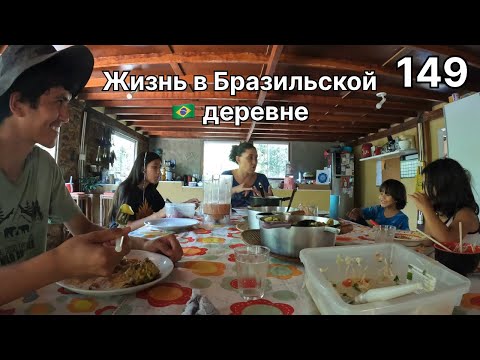 Видео: Работаю волонтёром и подаю документы на визу. Кругосветка 149.