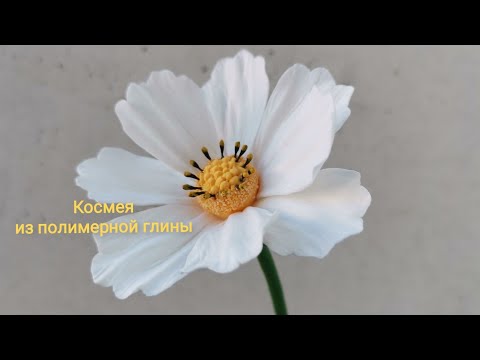 Видео: Космея из полимерной глины