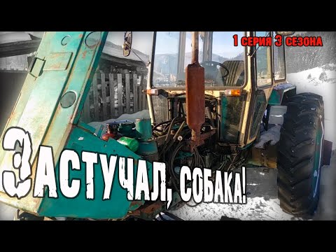 Видео: Застучал мотор на тракторе #Т40АМ. Что за дела?