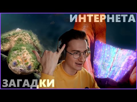 Видео: Дневная доза интернета с Олёшей 2