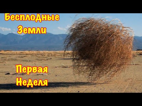Видео: The Ants. Первая неделя Пустошей