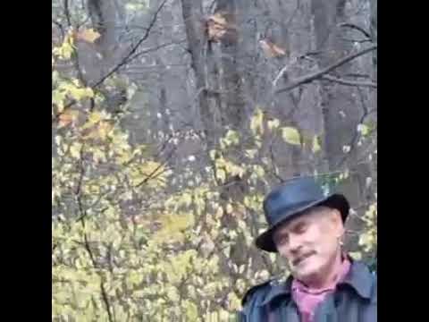 Видео: Сабырлар  тузэ инде