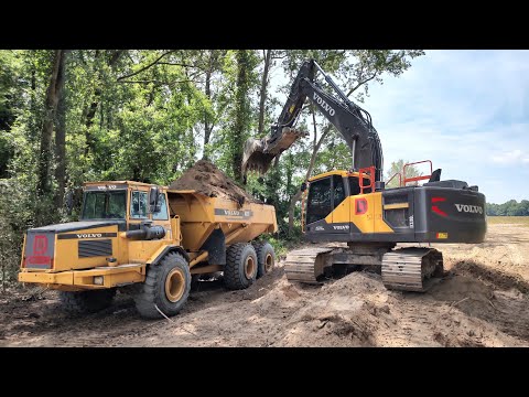 Видео: Строительство следующего участка дороги через лес