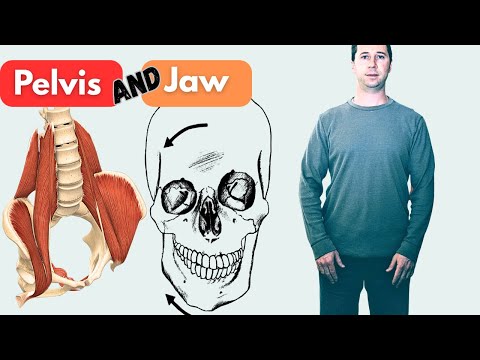 Видео: Незамеченная причина бокового наклона таза: положение челюсти