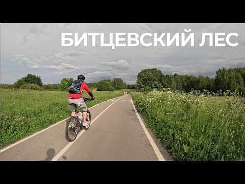Видео: 🚲 Ясенево и Битцевский лес — летняя велопрогулка в Москве