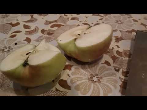 Видео: Яблоко Брянское.