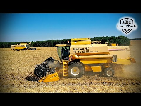 Видео: Старенькие комбайны New Holland TX65 Plus убирают пшеницу с урожайностью свыше 50 ц/га!