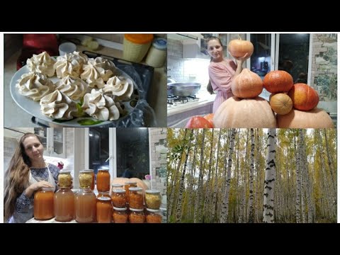 Видео: Такие КОНСЕРВЫ ещё НИКТО не делал!!! 😆🎃🎃🎃